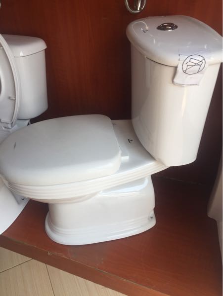 Europian toilet